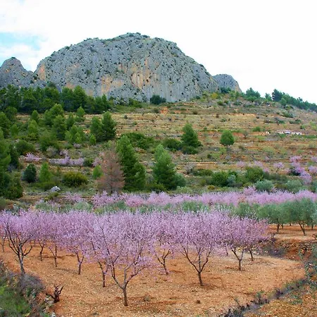 Pico - Charming 3* Sella