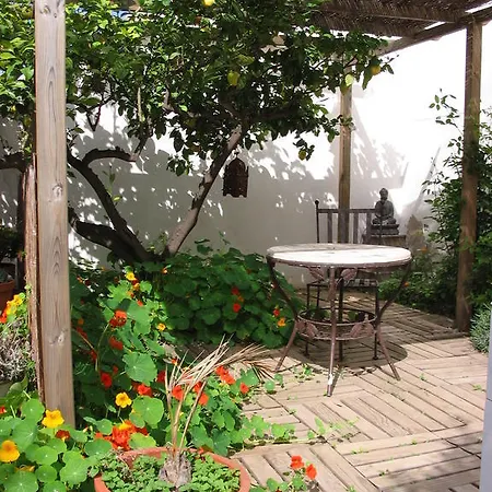 Pico - Charming Sella