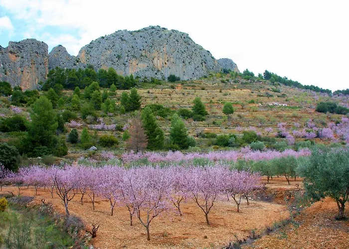 Pico - Charming 3* Sella